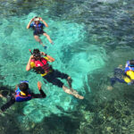 Sensasi petualangan yang seru dan nikmati berbagai kegiatan Fishing, Snorkeling, Diving dan Cliff Jumping yang seru bersama teman-teman baru dan pemandu berpengalaman bersama Flash Journey.